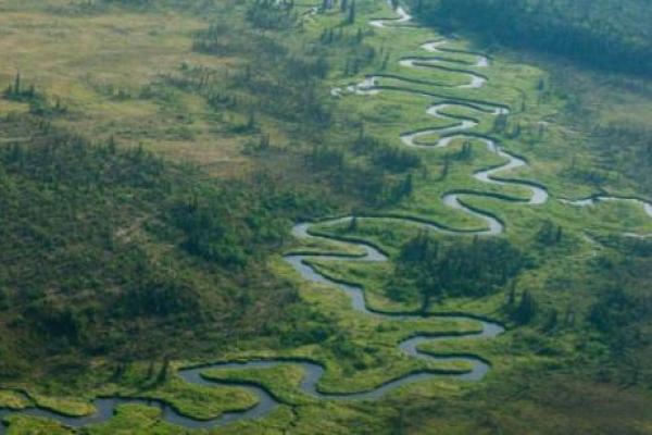 Sungai-sungai di bumi telah semakin dipengaruhi oleh limpasan dan jenis polusi lainnya, serta perubahan iklim, penggundulan hutan dan semua jenis pembangunan manusia.