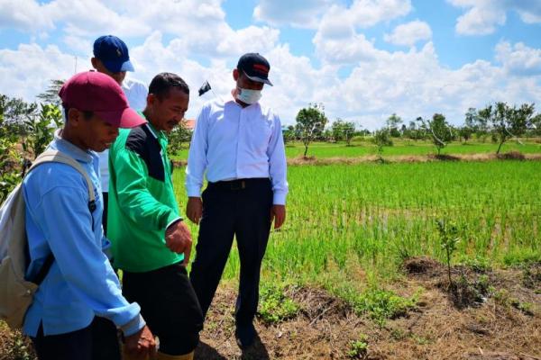 Menteri Pertanian (Mentan) RI Amran Sulaiman menegaskan bantuan excavator yang diberikan Kementan untuk mengoptimasi lahan rawa di Kabupaten Barito Kuala (Batola), Kalimantan Selatan (Kalsel), harus digunakan secara berkelompok seperti brigade.