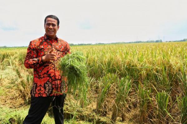 Edhy menyebut program Kementan selama lima tahun terakhir memiliki dampak besar pada kemajuan dan peningkatan produksi pangan strategis di seluruh Indonesia.