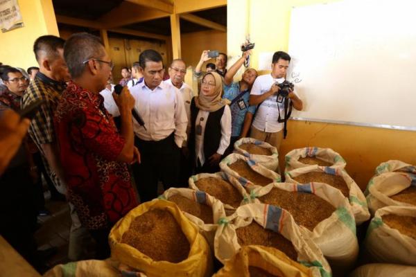 Kementerian Pertanian (Kementan) Melalui Loka Penelitian Sapi Potong (Lolitsapi) di Grati Pasuruan, Jawa Timur berhasil melakukan inovasi produksi oakan berbahan baku lokal untuk pengembanhan sapi potong.