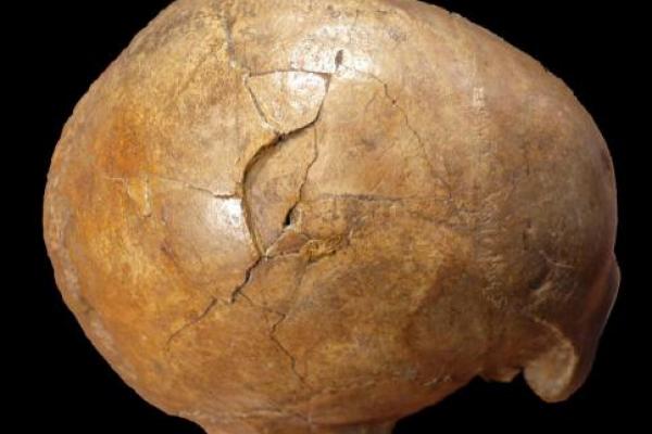 Sisa-sisa 33.000 tahun manusia Zaman Batu ditemukan di gua Transylvania selama Perang Dunia II. Yang tersisa dari dirinya hanyalah tengkorak.