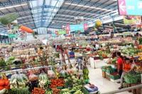 Pacu Ekspor, Kementan Koneksikan Kawasan Hortikultura dengan Pasar Dalam dan Luar Negeri