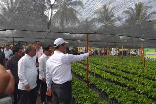 Bun500 merupakan suatu program terobosan Kementerian Pertanian (Kementan) untuk meningkatkan produktivitas perkebunan rakyat dua hingga tiga kali lipat.