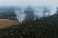 Brasil Tolak Dana G7 untuk Kebakaran Amazon