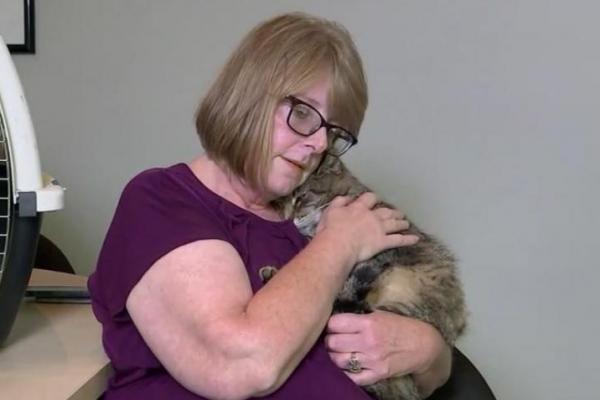 Seorang wanita New York bersatu kembali dengan kucingnya 11 tahun setelah ia menghilang berkat seorang pekerja penyelamat hewan