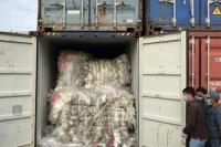 KLHK Didesak Segera Periksa Ratusan Kontainer Limbah Impor di Pelabuhan Tanjung Priok