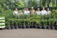 Kementan Kirim Ratusan Pohon Cabai di Istana Bogor