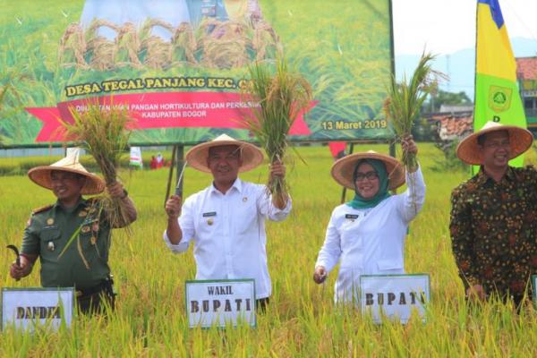 Kegiatan ini bertujuan untuk meningkatkan produksi dan produktifitas tanaman padi untuk  PAJALE