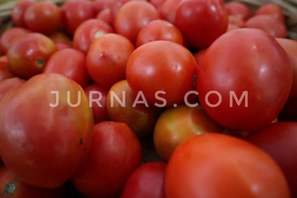 Belakangan harga tomat di kisaran Rp1.000-Rp1.500 hingga pernah mencapai Rp800.
