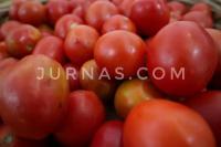 Harga Tomat Anjlok, Pasar Mitra Tani Boyong Tomat Petani di Bandung
