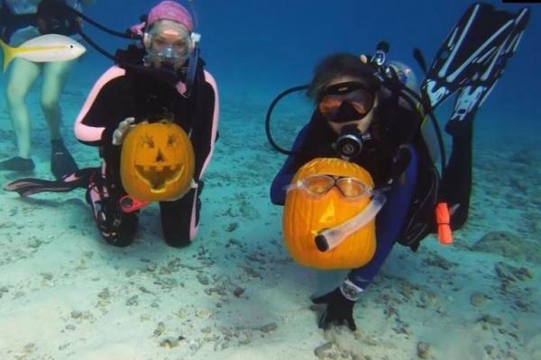 para pemenang menerima perjalanan menyelam gratis untuk dua orang di Amoray Dive Resort Key Largo.