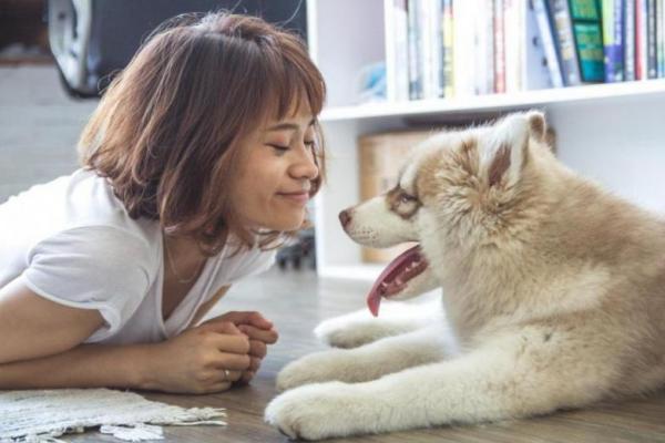 Sebuah penelitian menemukan bahwa pemilik anjing memiliki risiko kematian dini yang lebih rendah daripada orang yang tidak memiliki persahabatan anjing