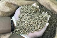 Kemenlu Dorong Pelaku Industri Specialty coffee Indonesia Tembus Pasar Asing