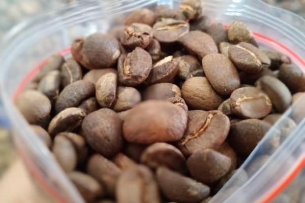 Kopinang, kopi unik dengan cita rasa buah nangka yang tajam mengarah asal Ngemplak Kabupaten Boyolali Jawa Tengah.
