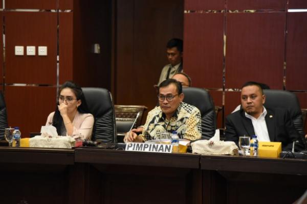 Dalam pidato pertamanya setelah dilantik sebagai Presiden RI 2019-2024, Presiden Joko Widodo menyinggung akan membuat sebuah konsep hukum perundang-undangan yang disebut Omnibus Law.