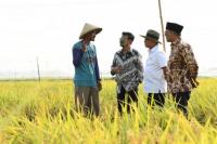 Indonesia Butuh Peran dan Solusi Pakar untuk Wujudkan Pertanian Berkelanjutan