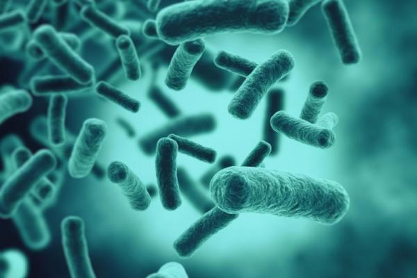Dalam penelitian CDC pada 2013 lalu, diperkirakan 2 juta warga AS terinfeksi superbug, bakteri jahat yang tidak mati oleh antibiotik, setiap tahunnya, yang menyebabkan setidaknya 23.000 kematian.