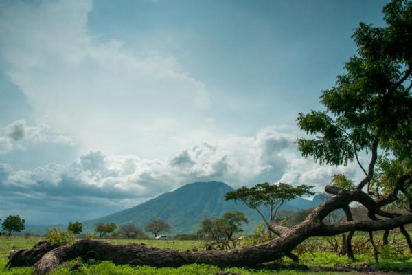 beberapa spot wisata alam Banyuwangi ini menawarkan panorama alam yang luar biasa indah persis seperti film-film di layar lebar.