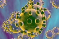 Virus Corona: 490 Orang Tewas, 24.324 Terinfeksi