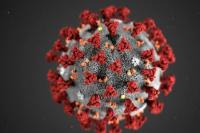 Inggris Konfirmasi Kasus Ketiga Virus Corona