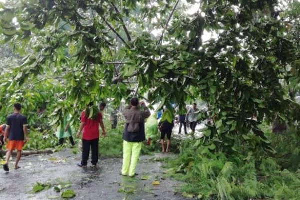 Angin puting beliung menerjang beberapa wilayah di Kabupaten Blitar, Jawa Timur