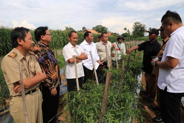Komite II mengapresiasi langkah-langkah strategis Pemerintah Provinsi Lampung dalam mendorong dan mengembangkan komoditas pertanian sesuai dengan keunggulan komparatif masing-masing daerahnya.