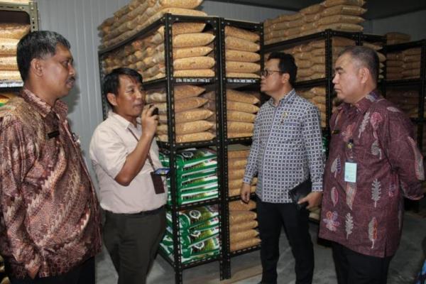 Komite II DPD RI akan memberikan dukungan dalam hal regulasi agar program pengembangan benih jagung hibrida lebih berpihak kepada hasil inovasi Balitbangtan.