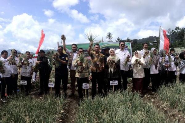 Berdasarkan data BPS, luas panen bawang merah di Kabupaten Enrekang pada tahun 2019 mencapai 7.605 hektar, naik 15% dibanding tahun 2018 sebanyak 6.610 hektar.