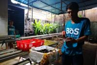 Menengok Keberhasilan Petani Muda Bali Manfaatkan Market Place Digital
