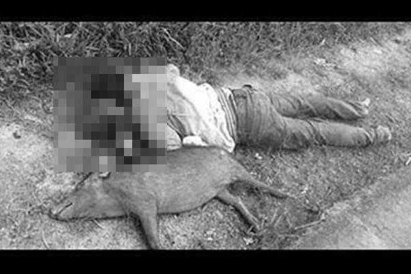 Yus didatangi sejumlah warga Papua yang menuding menabrak seorang warga Papua dan hewan ternak babinya hingga tewas.