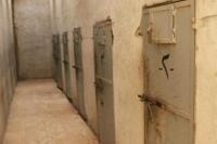 110 Wanita Palestina Ditahan di Penjara Suriah, 34 Disiksa Sampai Mati
