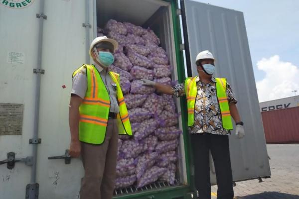 Bawang putih impor ini didatangkan oleh CV. Semangat Tani Maju Bersama (STMB) yang sudah mendapat rekomendasi dan izin impor dari pemerintah.