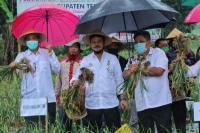 Mentan Syahrul Dukung Temanggung Jadi Penyangga Bawang Putih Nasional