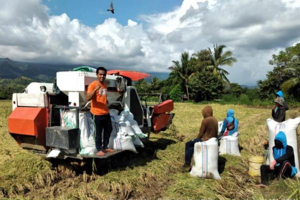 Pemuda asal Pinrang, Sulawesi Selatan ini memulai bisnis di bidang pertanian setelah mengikuti Program Magang Jepang yang difasilitasi Kementerian Pertanian (Kementan) pada 2012