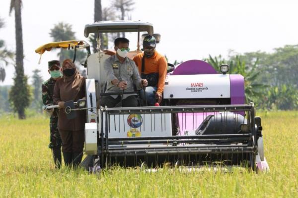  Keterlibatan LSM akan memberikan nilai optimisme pada visi pemerintah Jokowi, yakni meningkatkan produksi pertanian.