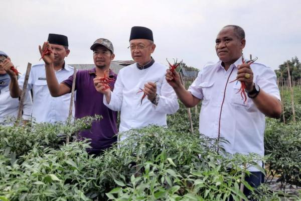 Indonesia sebagai negara agraris memiliki potensi besar untuk sektor pertanian, salah satunya ada pada komoditas hortikultura, yaitu cabai merah keriting.