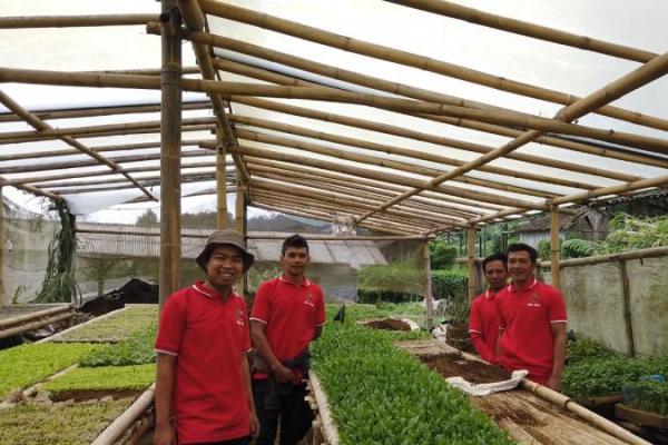 Mantan Gubernur Sulawesi Selatan itu percaya bahwa anak muda yang mau terjun di bidang pertanian bisa punya peluang kehidupan dan ekonomi yang lebih baik.