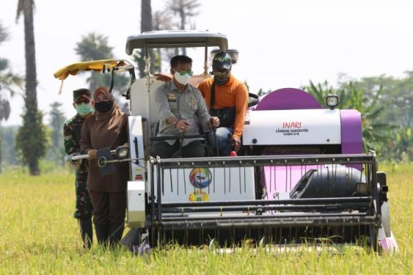 Kementerian Pertanian (Kementan) di bawah komando Mentan Syahrul memiliki pondasi kuat dalam membangun pertanian masa depan yang bisa menopang ekonomi negara secara terus menerus.