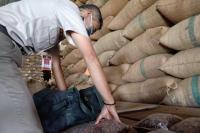 Terhenti Sejak 2016, Kini Kakao Asal Kaltara Kembali Diekspor