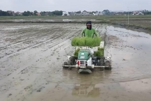 UPJA ini dikelola oleh Badan Usaha Milik Petani (BUMP) Kanca Tani. Alat mesin pertanian yang dikelola salah satunya adalah mesin tanam rice transplanter