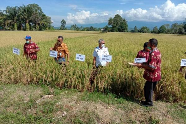 Program Rural Empowerment and Agricultural Development Scaling up Initiative (READSI) memberikan dukungan bagi kelompok tani sasaran di 342 Desa, 18 Kabupaten yang terdapat di enam Provinsi.