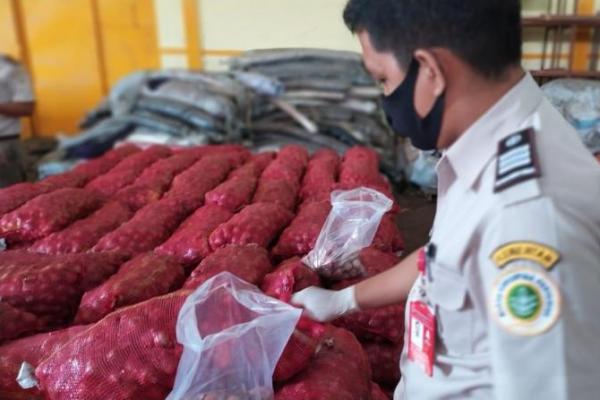 Bawang merah impor ilegal ini sangat merugikan dan mengganggu stabilitas harga bawang merah dalam negeri.