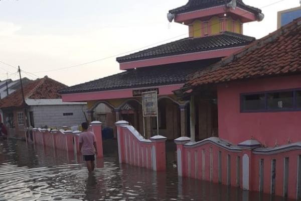 Banjir rob kembali merendam ribuan rumah hingga melumpuhkan aktivitas warga di desa Eretan Wetan, Indramayu. Banjir yang datang sehari dua kali itu merendam rumah penduduk hingga ketinggian air rata-rata setinggi betis orang dewasa.