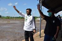 Tim Ahli Wapres Dukung Food Estate Pertanian di Kalteng