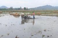 Petani Lampung Siap Tanam Padi 600 Hektare di Musim Tanam Gadu