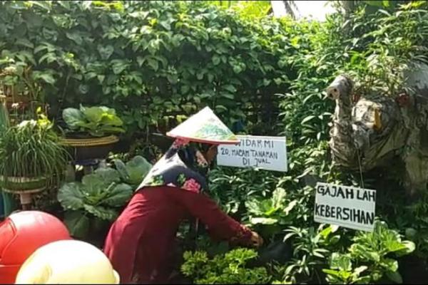 Kelompok Wanita Tani (KWT) Bina Pertani yang berada di Kecamatan Trimurjo Kabupaten Lampung Tengah, Provinsi Lampung semakin giat untuk meningkatkan produksi sayuran dan biofarmaka.