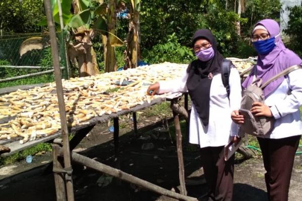 Poniyati dan Katumi petani yang memproduksi beras oyek menuturkan dari oyek, tiwul dan beras jagung pendapatan dan ketahanan pangan keluarga meningkat.