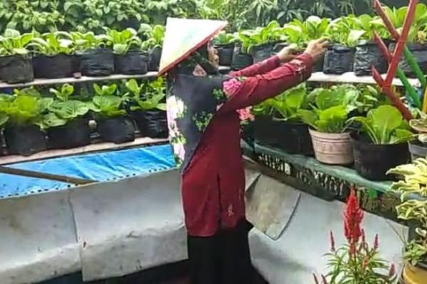 Program rumah pangan lestari perlu didorong secara luas untuk diterapkan masyarakat Lampung di seluruh pelosok desa.