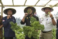 Syahrul Dorong Budidaya Sayuran Organik Maju, Mandiri dan Modern