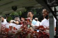 Syahrul Yasin Limpo Gelorakan Diversifikasi Pangan Lokal